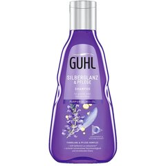Šampūnas riebiems plaukams Guhl Silberglanz & Care Shampoo, 250 ml цена и информация | Шампуни | pigu.lt