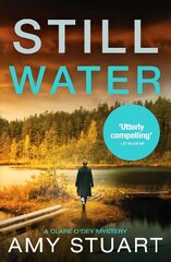 Still Water: An absolutely gripping private investigator crime novel kaina ir informacija | Fantastinės, mistinės knygos | pigu.lt