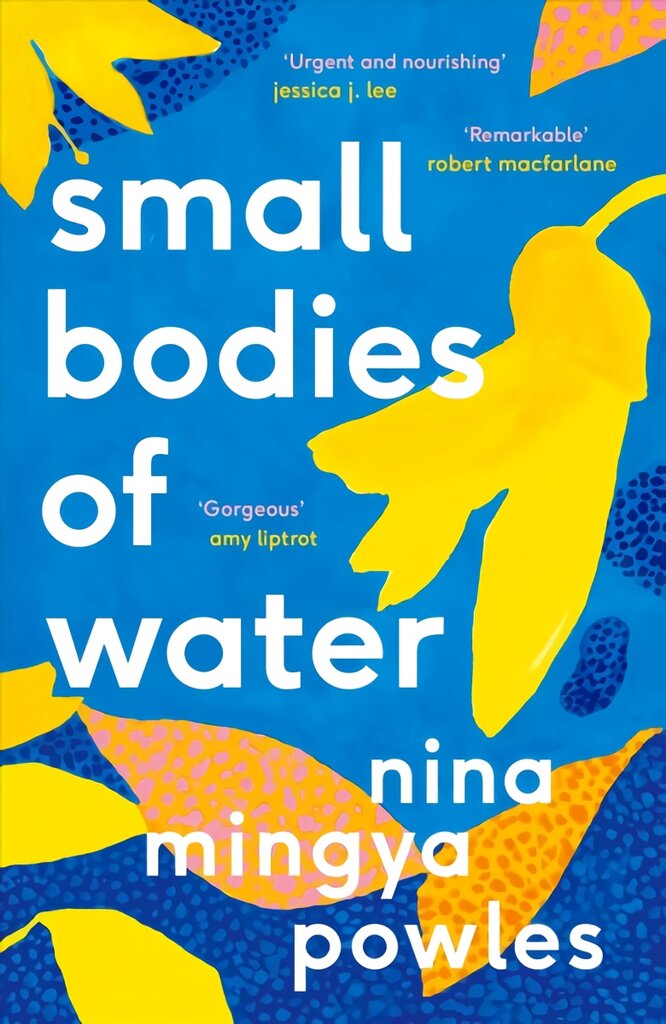 Small Bodies of Water Main цена и информация | Biografijos, autobiografijos, memuarai | pigu.lt