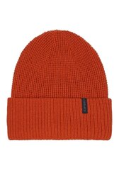 Детская шапка Icepeak Hesston 52818-2*490 6438522944221, коричневая  цена и информация | Шапки, перчатки, шарфы для мальчиков | pigu.lt