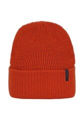 Детская шапка Icepeak Hesston 52818-2*490 6438522944221, коричневая  цена и информация | Шапки, перчатки, шарфы для мальчиков | pigu.lt