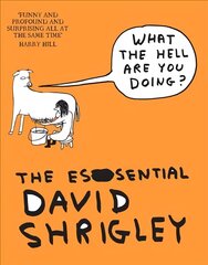 What The Hell Are You Doing?: The Essential David Shrigley: The Essential David Shrigley Main kaina ir informacija | Knygos apie meną | pigu.lt