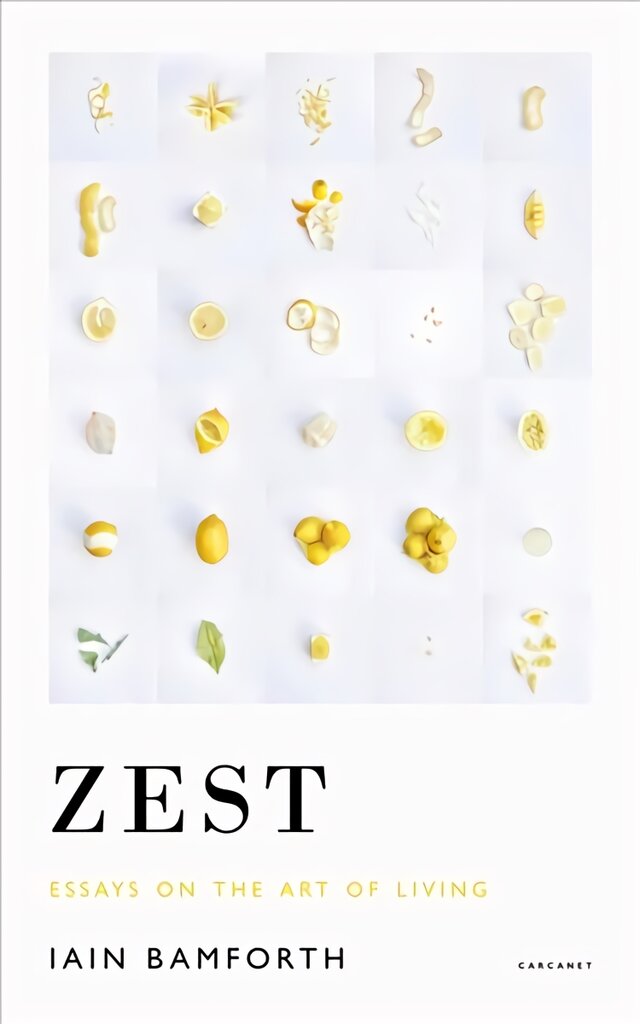 Zest: Essays on the Art of Living kaina ir informacija | Poezija | pigu.lt