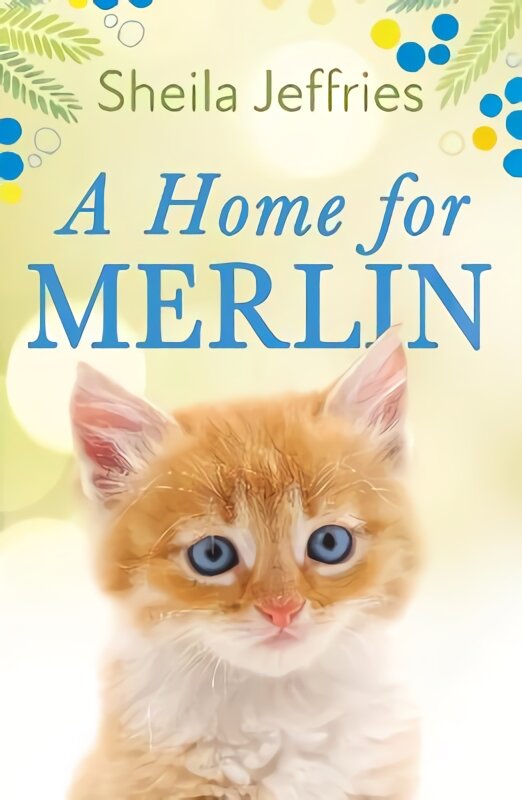 Home for Merlin цена и информация | Fantastinės, mistinės knygos | pigu.lt