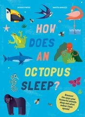 How Does An Octopus Sleep?: Discover the ways your favourite animals sleep and what makes them special цена и информация | Книги для малышей | pigu.lt