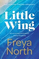 Little Wing: An emotional and heartwarming story, perfect for autumn 2022 цена и информация | Fantastinės, mistinės knygos | pigu.lt