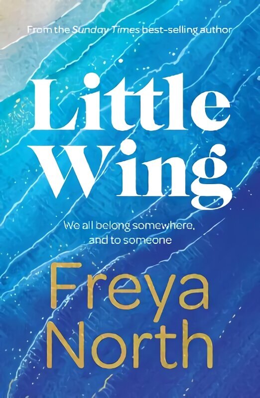 Little Wing: An emotional and heartwarming story, perfect for autumn 2022 kaina ir informacija | Fantastinės, mistinės knygos | pigu.lt