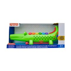 Музыкальная игрушка Fisher Price  цена и информация | Игрушки для малышей | pigu.lt