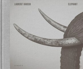 Elephant kaina ir informacija | Fotografijos knygos | pigu.lt