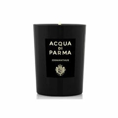 Acqua di Parma Османтус - свеча 200 г цена и информация | Подсвечники, свечи | pigu.lt