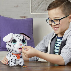 Interaktyvus pliušinis dalmatinas Furreal kaina ir informacija | Žaislai berniukams | pigu.lt
