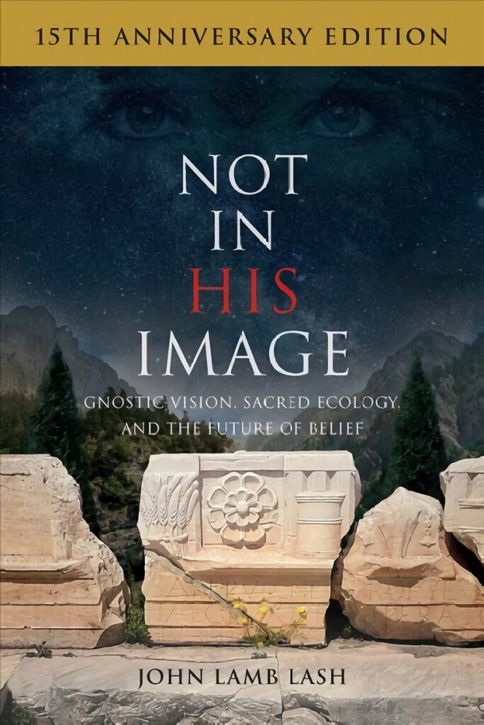 Not in His Image 15th Anniversary Edition: Gnostic Vision, Sacred Ecology, and the Future of Belief цена и информация | Dvasinės knygos | pigu.lt