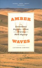 Amber Waves: The Extraordinary Biography of Wheat, from Wild Grass to World Megacrop kaina ir informacija | Ekonomikos knygos | pigu.lt