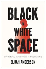 Black in White Space: The Enduring Impact of Color in Everyday Life kaina ir informacija | Socialinių mokslų knygos | pigu.lt