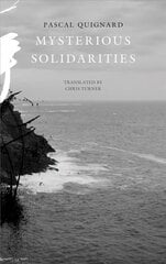 Mysterious Solidarities цена и информация | Fantastinės, mistinės knygos | pigu.lt