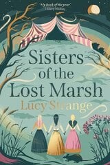 Sisters of the Lost Marsh цена и информация | Книги для подростков  | pigu.lt