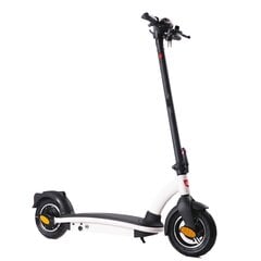 Электрический скутер 36v 500w, белый цена и информация | Электросамокаты | pigu.lt