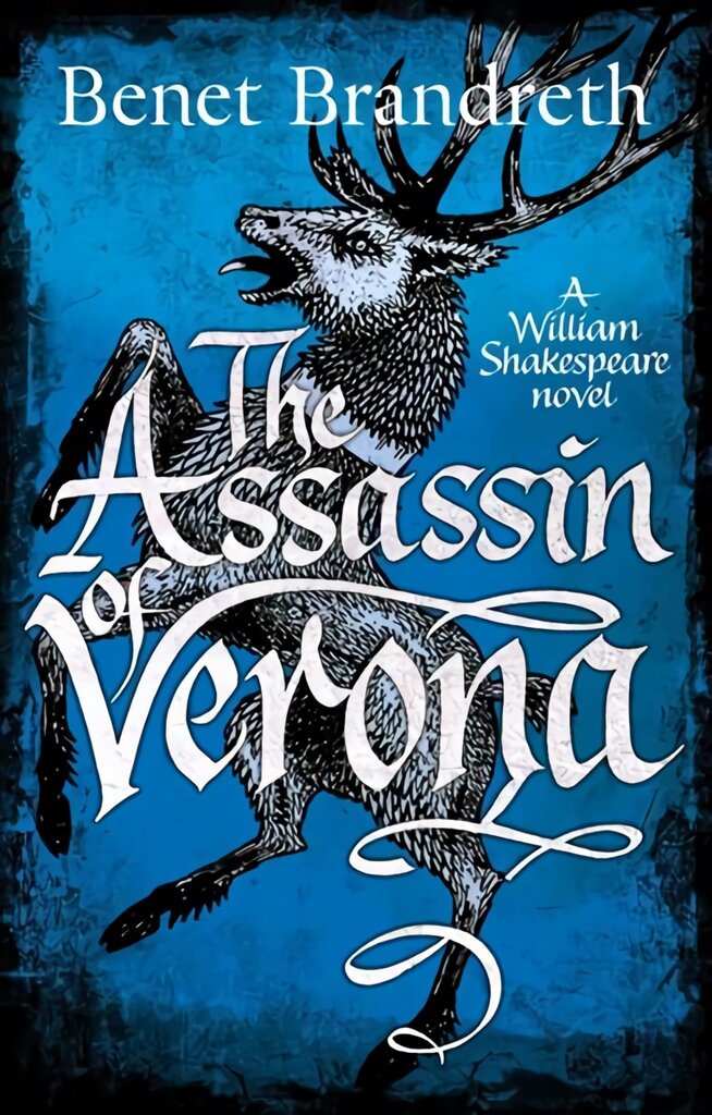 Assassin of Verona kaina ir informacija | Fantastinės, mistinės knygos | pigu.lt