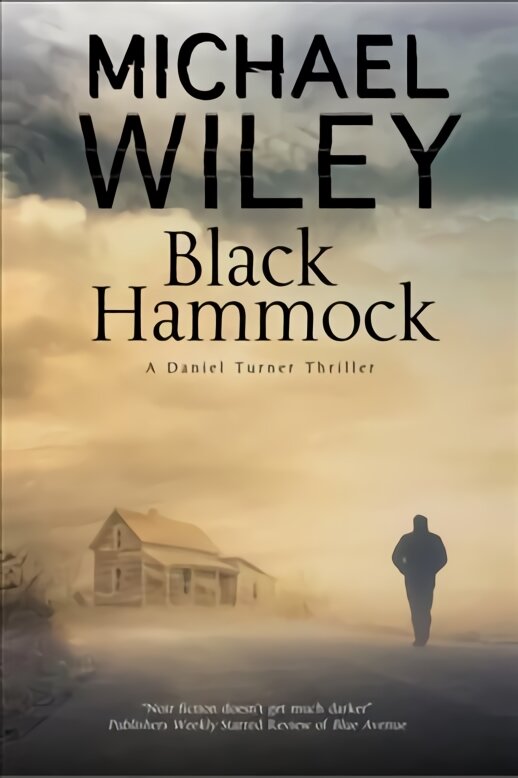 Black Hammock: A Noir Thriller Series Set in Jacksonville, Florida Large type / large print edition kaina ir informacija | Fantastinės, mistinės knygos | pigu.lt