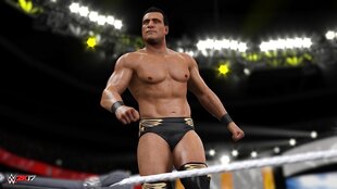 WWE 2K17, PlayStation 4 цена и информация | Компьютерные игры | pigu.lt