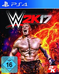 WWE 2K17, PlayStation 4 цена и информация | Компьютерные игры | pigu.lt