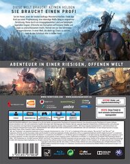 The Witcher 3: Wild Hunt - Standard, PlayStation 4 цена и информация | Компьютерные игры | pigu.lt