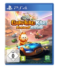 Garfield Kart Furious Racing, PlayStation 4 цена и информация | Компьютерные игры | pigu.lt