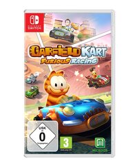 Garfield Kart Furious Racing kaina ir informacija | Kompiuteriniai žaidimai | pigu.lt