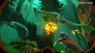 Gearbox Publishing Subnautica, PS4 kaina ir informacija | Kompiuteriniai žaidimai | pigu.lt