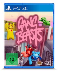 Gang Beasts, PlayStation 4 цена и информация | Компьютерные игры | pigu.lt