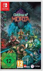 Children of Morta, Nintendo Switch цена и информация | Компьютерные игры | pigu.lt