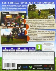 Ostwind, PS4 цена и информация | Компьютерные игры | pigu.lt