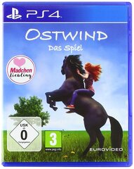 Ostwind, PS4 kaina ir informacija | Kompiuteriniai žaidimai | pigu.lt