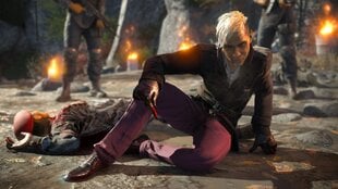 Far Cry 4 - Standard Edition, PlayStation 4 kaina ir informacija | Kompiuteriniai žaidimai | pigu.lt