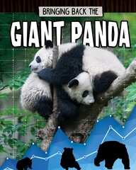 Giant Panda: Animals Back from the Brink kaina ir informacija | Knygos paaugliams ir jaunimui | pigu.lt