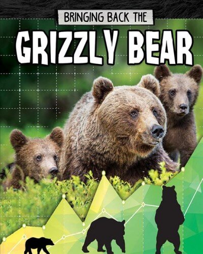 Grizzly Bear: Bringing Back The kaina ir informacija | Knygos paaugliams ir jaunimui | pigu.lt