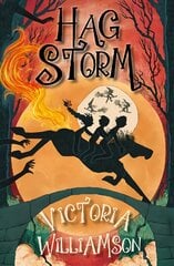 Hag Storm цена и информация | Книги для подростков  | pigu.lt