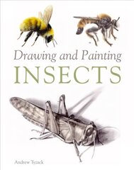 Drawing and Painting Insects цена и информация | Книги о питании и здоровом образе жизни | pigu.lt