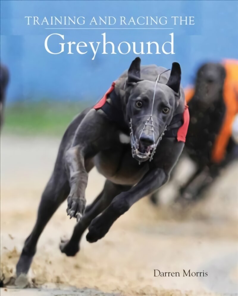 Training and Racing the Greyhound цена и информация | Enciklopedijos ir žinynai | pigu.lt