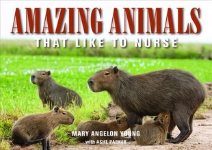 Amazing Animals: That Like to Nurse kaina ir informacija | Saviugdos knygos | pigu.lt