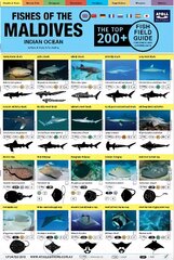 Maldives Fish Field Guide Top 200plus цена и информация | Энциклопедии, справочники | pigu.lt