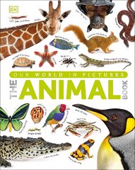 Our World in Pictures The Animal Book: A Visual Encyclopedia of Life on Earth kaina ir informacija | Knygos paaugliams ir jaunimui | pigu.lt