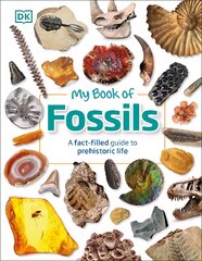 My Book of Fossils: A fact-filled guide to prehistoric life kaina ir informacija | Knygos paaugliams ir jaunimui | pigu.lt