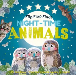 Flip Flap Find! Night-time Animals цена и информация | Книги для малышей | pigu.lt