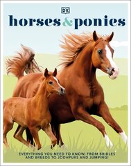 Horses & Ponies: Everything You Need to Know, From Bridles and Breeds to Jodhpurs and Jumping! цена и информация | Книги для подростков и молодежи | pigu.lt