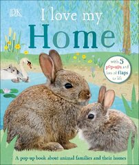 I Love My Home: A pop-up book about animal families and their homes kaina ir informacija | Knygos mažiesiems | pigu.lt