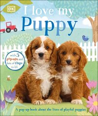 I Love My Puppy цена и информация | Книги для малышей | pigu.lt