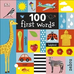 100 First Words цена и информация | Книги для малышей | pigu.lt
