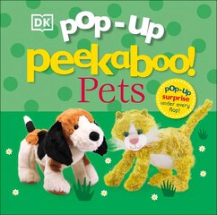 Pop-Up Peekaboo! Pets цена и информация | Книги для малышей | pigu.lt