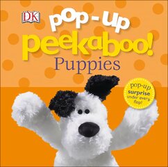 Pop-Up Peekaboo! Puppies цена и информация | Книги для самых маленьких | pigu.lt